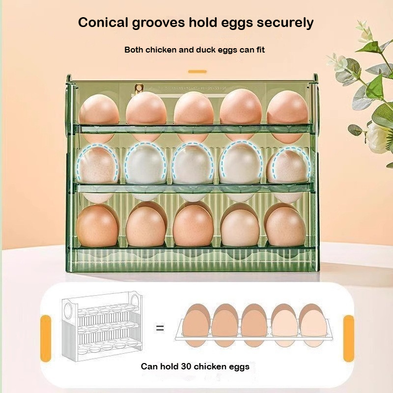 กล่องเก็บไข่อัตโนมัติแบบเด้งกล - Food Storage Rack For Kitchen บทวิจารณ์และราคา