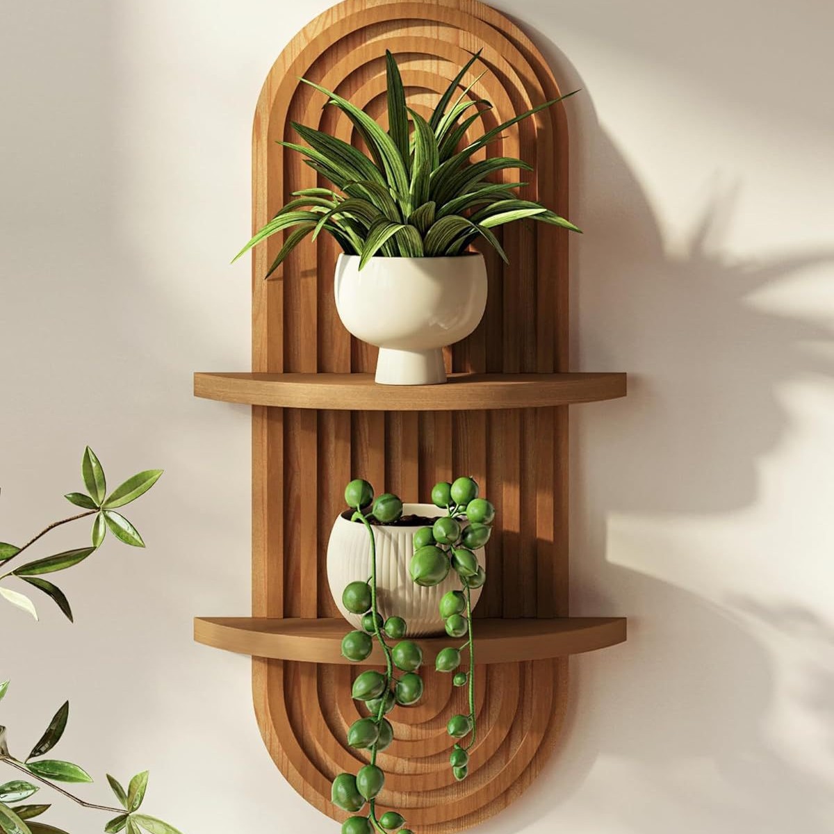 ชั้นวางของไม้แบบลอยตัว, ชั้นวา - Food Storage Shelving บทวิจารณ์และราคา